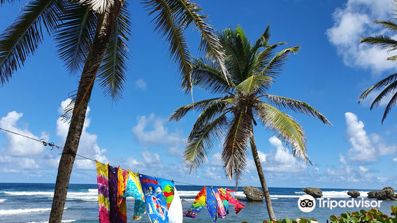 Bathsheba Beach