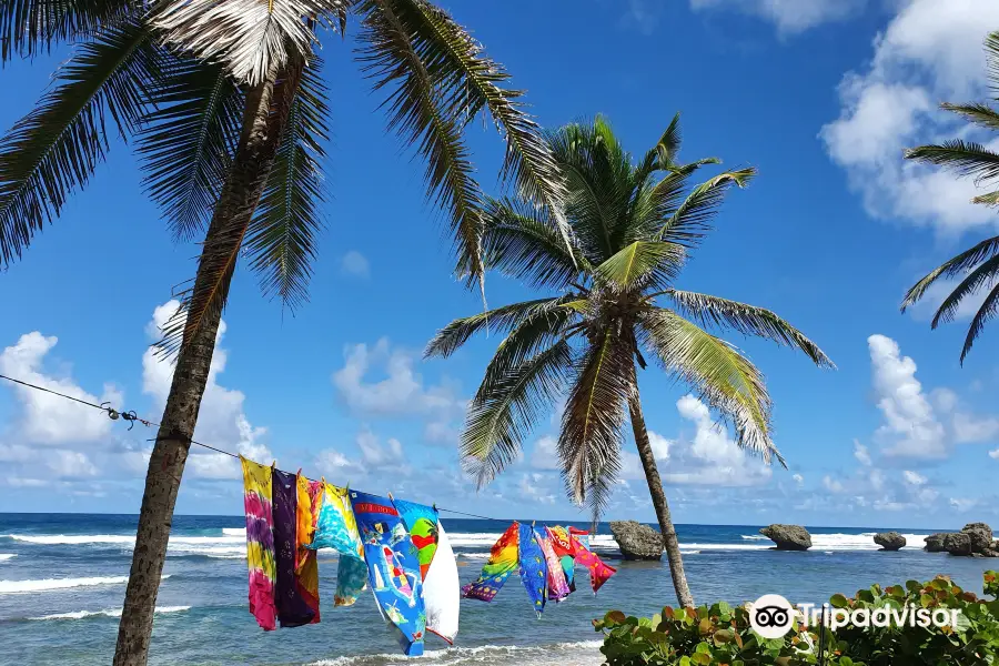 Bathsheba Beach