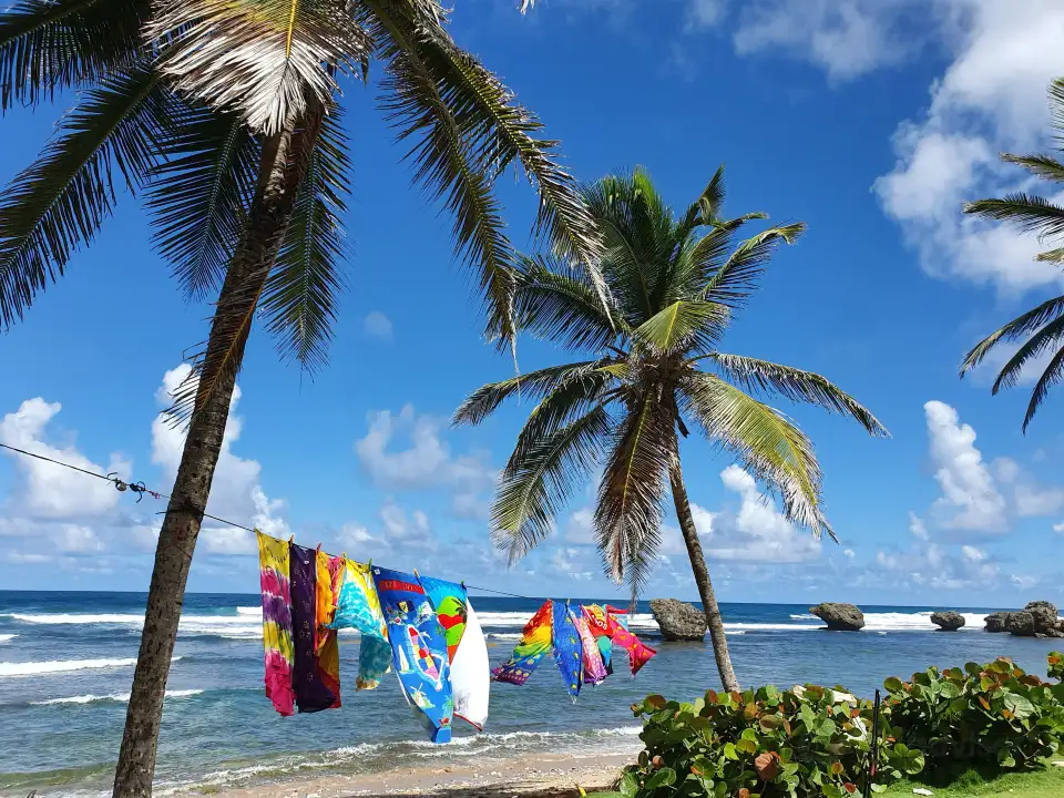1_Bathsheba Beach