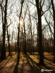 Valley Stream State Park