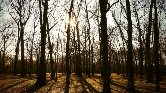 Valley Stream State Park