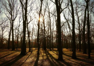 Valley Stream State Park