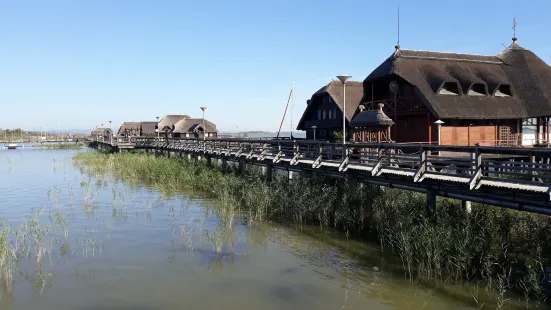 Lake Neusiedl