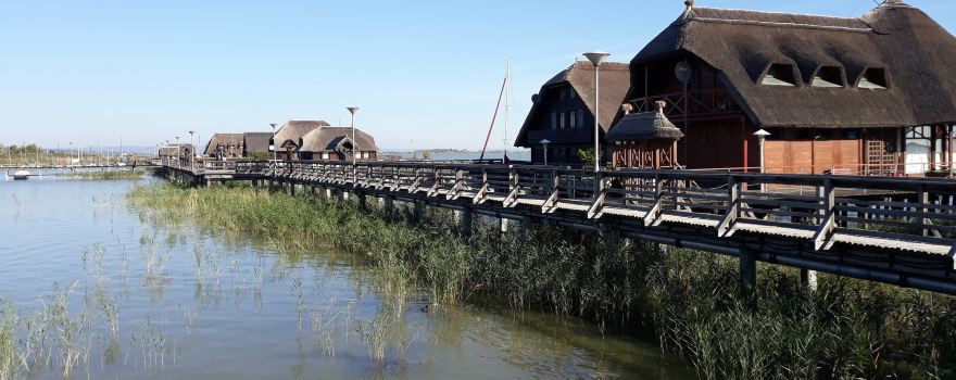 Lake Neusiedl