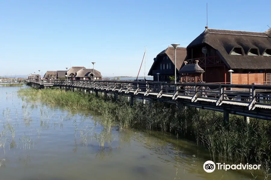 Lake Neusiedl