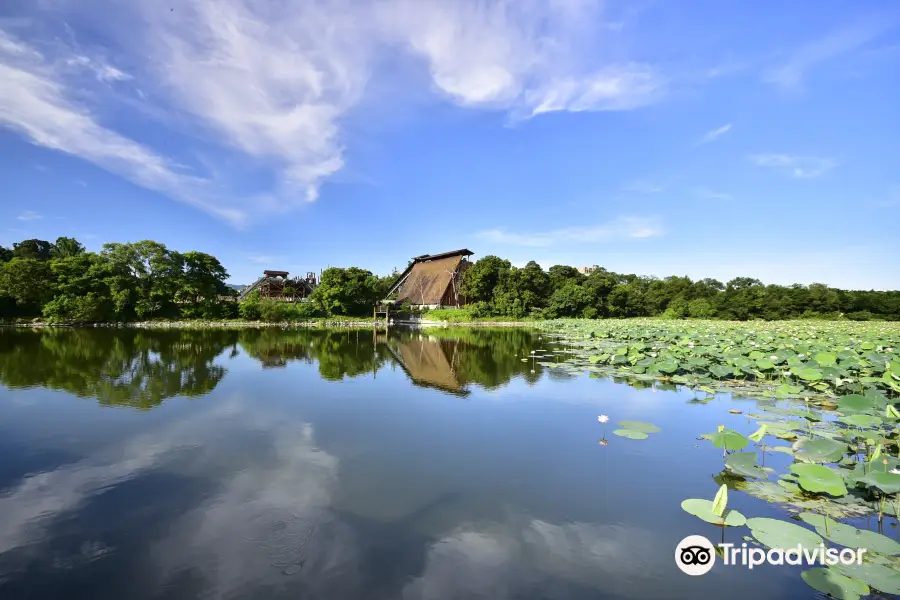 東勢林業文化園區