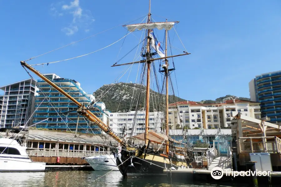 Nelson's Schooner Pickle Opening Hours, Reviews & Photos [2024