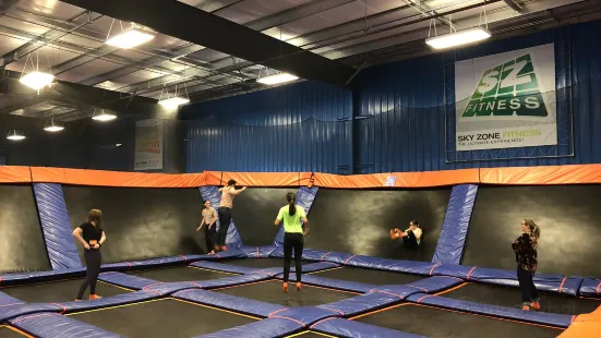 Sky Zone Trampoline Park