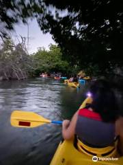 Island Kayaking Adventure