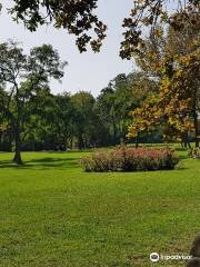 Florya Atatürk Forest