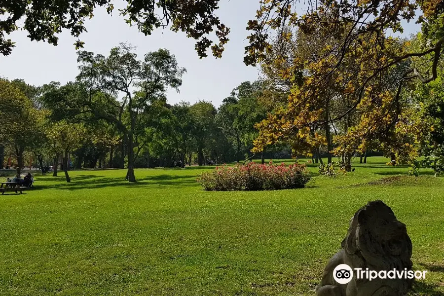 Florya Atatürk Forest