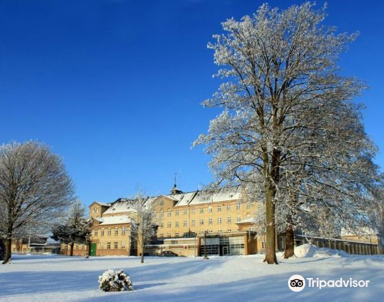 霍森斯 自由行套票