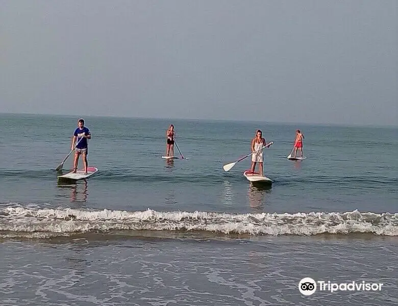 Sup Palolem (Stand up paddle centre)