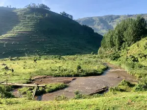 Bwindi Impenetrable Forest