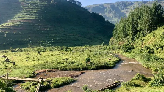 Bwindi Impenetrable Forest