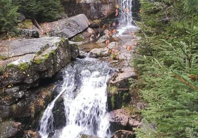 Vodopady Jedlova (Jedlova Waterfall)