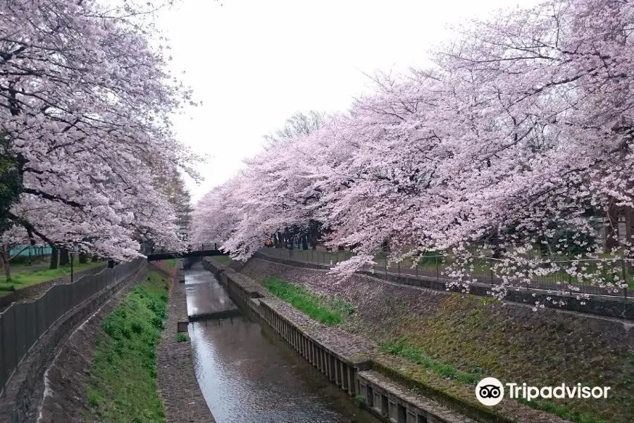 和田堀公園