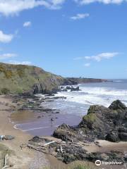 St Cyrus National Nature Reserve - viewpoint