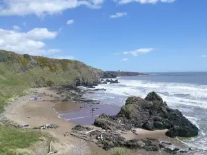 St Cyrus National Nature Reserve - viewpoint