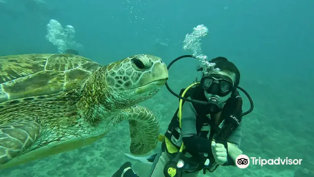 Scuba Diving in Mauritius