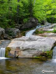 Step Falls Hiking Trail