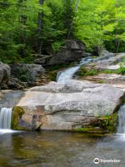 Step Falls Preserve Hiking Trail