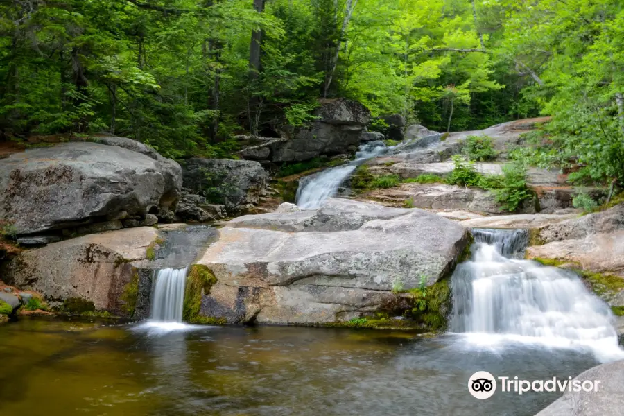 Step Falls Preserve Hiking Trail