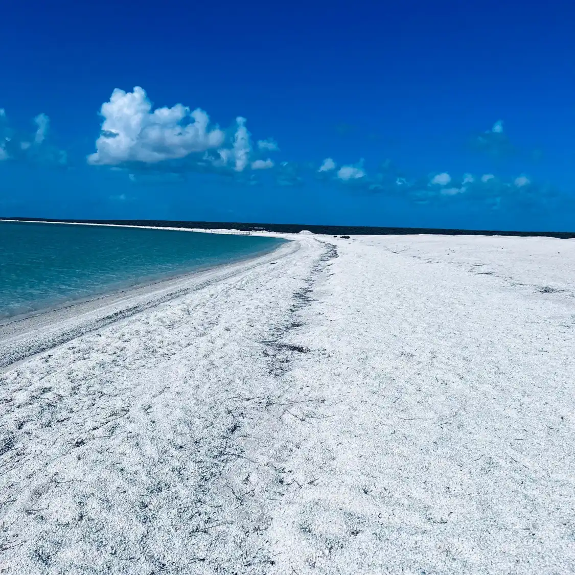 Hotels near Shell Beach