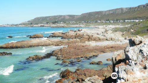 Fernkloof Nature Reserve