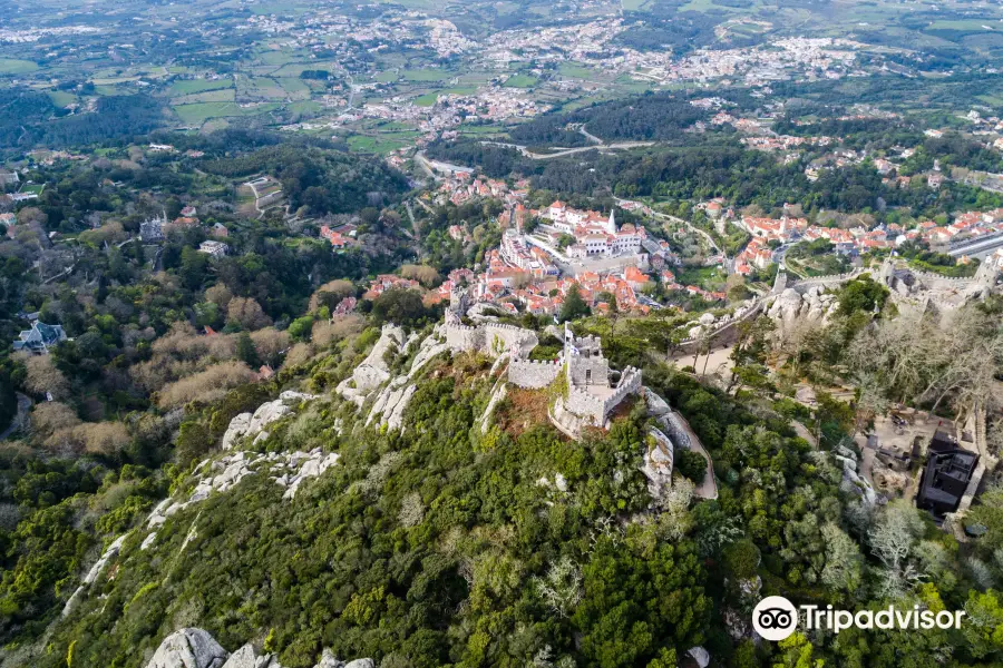 Parques De Sintra-Monte Da Lua