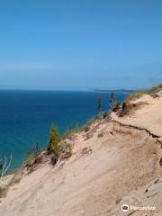 Arcadia Dunes: The C.S. Mott Nature Preserve