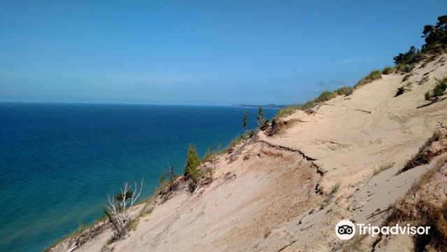 Arcadia Dunes: The C.S. Mott Nature Preserve