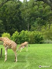 Cape May County Park & Zoo