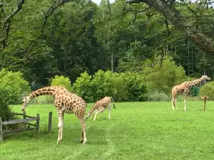 Cape May County Park & Zoo