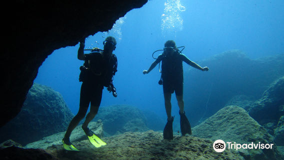 Triton Dive Center