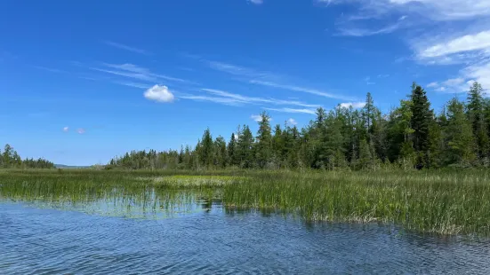 Grass River Natural Area