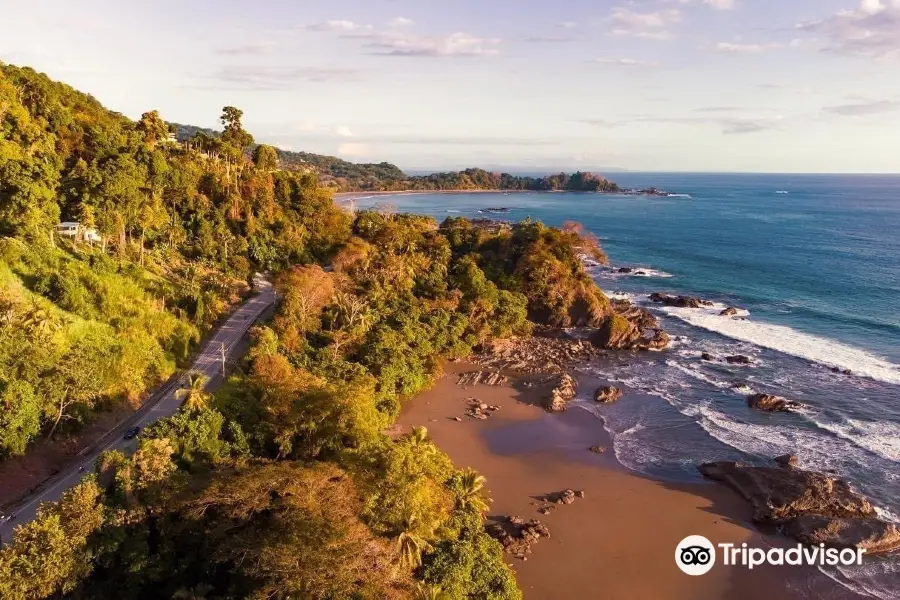 Sunset Surf Dominical - Day Lessons