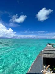 Teking Lagoon Cruises