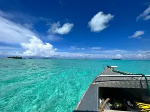 Teking Lagoon Cruises