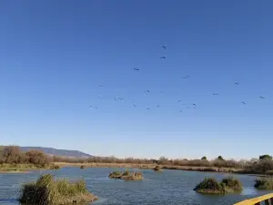 Parc national des Tablas de Daimiel