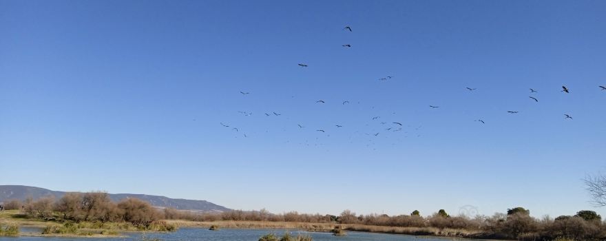 Parque Nacional de las Tablas de Daimiel
