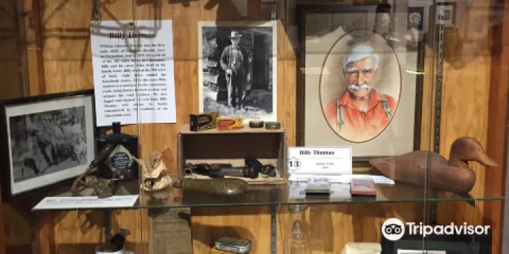 Chemainus Valley Museum