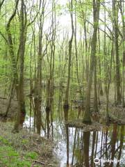 Congaree Creek Heritage Preserve