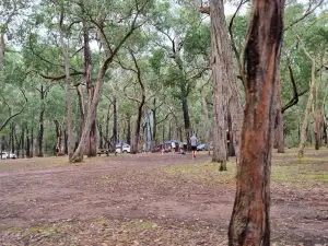 Sawpit Free Campground