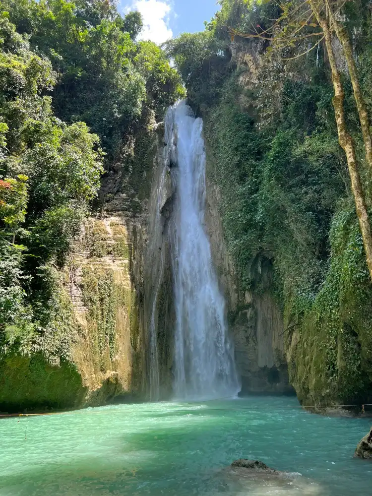 Hotels in Barili