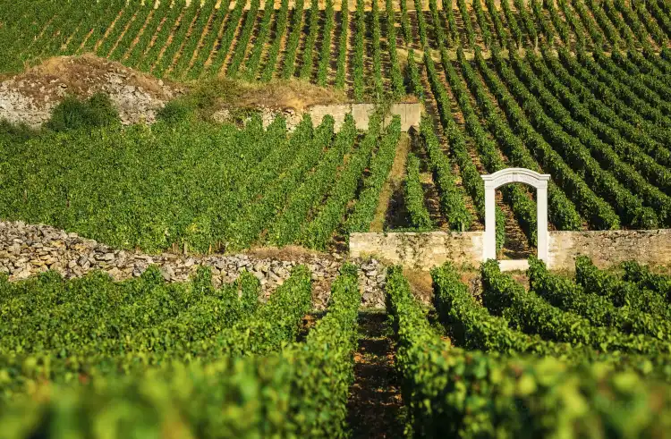 Hotels in Puligny-Montrachet
