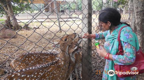 Tirumala Deer Park Reserve