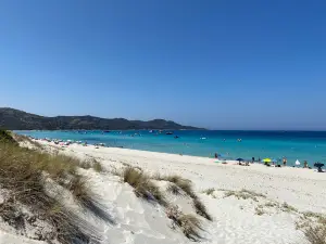 Plage de Saleccia