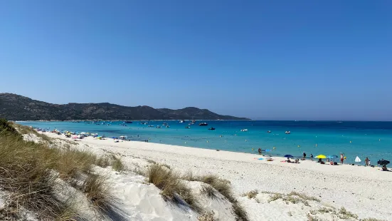 Plage de Saleccia