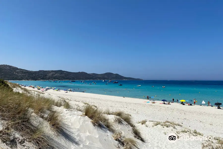 Plage de Saleccia